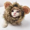 家のかわいいライオンのたてがみ猫のかつら帽子犬と猫小型犬のペット猫の装飾アクセサリーライオンファンシーヘアキャップペット用品