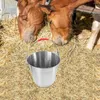 Mugs Bucket With Handle Portable Water Horse Feed Stainless Steel For Feeding