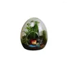 Vases High Quality Glass Bottles Creative Succulent Vase Egg-shaped Terrarium Micro Landscape Hydroponic