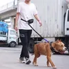 Colliers de chien à pied de la ceinture de marche