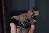 Другие игрушки животного райского тела Tyrannosaurus rex Model Model Museum Museum Limited фигуры T-Rex Collector Collector Collector Reality Toy Giftsl240502