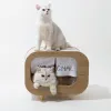 Furniture MewooFun Cat House Bed Cat Condo TV for Indoor Sturdy Luxury Large Wooden Fashion Cat Shelter Furniture with Scratching Pad