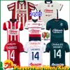 23 24 24 Chivas CD Guadalajara koszulki piłkarskie