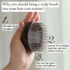 Japonés Massorista de cuero cabelludo premium para la cabeza de crecimiento del cabello Hommimplippting Handheld Camisque de cabello Cepillo del cuero cabelludo Exfoliante 240422