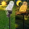 Dekorasyonlar Güneş Baykuş Zemin Işık Led Açık Avlu Lambası Bahçe Işık Su Geçirmez Kazan