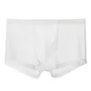 Underpants Mesh Briefs Wear Resistant Friendly To Skin Polyester Quick Dry Men Boxers Gift Inside Wearing