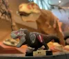 Другие игрушки животного райского тела Tyrannosaurus rex Model Model Museum Museum Limited фигуры T-Rex Collector Collector Collector Reality Toy Giftsl240502