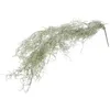 Dekorativa blommor Simulerade hängande vinrankor för krukväxter Konstgjorda konserverade torkade plastlandskapsarkitektur lavdekor