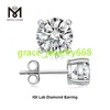 IGI CVD 0,3CT 0,5CT 1CT 2CT D VS1 14K GULL FOUR CLAWS STUL CLASSIC DESIGN LAB GROWN DIAMOND EARRING