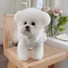 Abbigliamento per cani in pizzo di moda abiti estivi abiti da sposa pata bomba bichon hawaiane carine cucciolo abbigliamento h240506