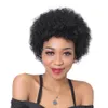 European hair Full Lace Human Hair Wigs For Black Women Peruvian Afro Kinky Curly U Part Wigs 100% Human Hair