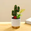 Flores decorativas plantas artificiais resina cactus vaso de flores suculento com vasos falsos