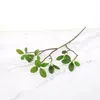 Dekorativa blommor konstgjorda trädgrenar för heminredning latex grön liten blad falsk växt djungelfest pografi tillbehörsdekoration