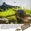 Terrariums schildpad watergerecht antislip voeding kom reptielen watergerecht voor schildpadden gehoornde kikkers en hagedissen weken spelen dropshipping