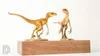 Andere Toys Dino Dream 1 15 Schaal Velociraptor Raptor Tiger Dinosaur Model Collector Dier volwassen speelgoed GiftSL240502