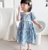 Style d'été Petite fille robe de princesse moes