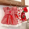 Roupas de cachorro para cães para cães pequenos vestido de verão moda de moda de cachorro Princesa saia