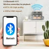 Усилители флагман 2.1 канал усилитель трубки Bluetooth 5.0 AptXHD HD -формат передача комбинированная усилитель цифровой коаксиальный оптический вход