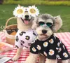 dog Apparel clothes summer online celebrities with the same fashion brand daisy tshirt cotton teddy pet3201167