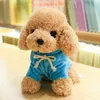 Wholesale simulation of teddy dog plush toys, puppies, cloth dolls, hoodies, dog dolls, gifts, customized logos, small dolls