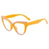 Lunettes de soleil Personnalité de la mode Cat Eye anti-bleu Miroir Ins Ladies Trend Retro Big Frame Lunes