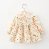 Robes Robes robes de baby pour filles pour les filles du printemps