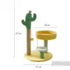 Scratchers Cactus Cat Kratzposten Katzensprungplattform Katzenbaum Sisal Säule Schleifklaue Göttliches Werkzeug spielen Katzenkatze Eigentumswohnung