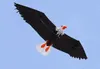 Outdoor-Unterhaltung und Sport 2 m hochwertiger 3D-Eagle-Drachen mit Griff und 30 m linie zu steuerende und gute Flugleistung 240428