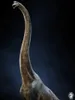 Другие игрушки инвентаризации W-Dragon Brachiosaurus с длинной шеей Dragon Dragon Dinosaur Модель статуи игрушки ручной работы. Новый аутентичный декоративный подарок