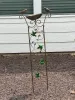 Ondersteunt metalen tuin van buiten metalen tuin met vogelbad voor klimplanten