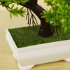 Декоративные цветы искусственное дерево бонсай для домашнего офиса мини -гостеприимное моделирование сосны растения