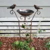 Ondersteunt metalen tuin van buiten metalen tuin met vogelbad voor klimplanten