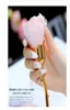 Щетка для ногтей для ногтей для маникюрной розовой головки щетка румяна пудры щетки для модных гелевых аксессуаров для ногтей Материал Материал Материал 8490313