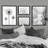 ers Dandelion dekoracyjny kwiat płótno plakat sztuki plakat Nordic nowoczesny malarstwo czarno -biała ściana elegancka zdjęcie salonu J240505
