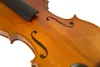 4/4バイオリンフルスプルーストップメープルバックは高品質の長方形のケースリッチサウンド