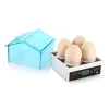 アクセサリー4卵ミニインキュベーターチキン、アヒル、カメ、鳥の卵小さなインキュベーター家庭自動一定の温度インキュベーション