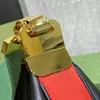 Fashion designer bag Hobos Totes women's leather shoulder bag with colorful striped nylon strap and metal brand logo hook handbag