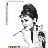 Stitch Diy Audrey Hepburn Schwarz -Weiß -Malerei Diamond Sticker Kits berühmte Schauspieler Star Kunst Bild Cross Stitch Mosaic Home Decor