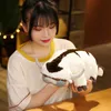 55cm Avatar Appa Plush Toys Momo Doll Anime Soft Bichiled Pillow Pillow Kids Presente 240416