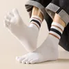 5 coppie da uomini a cinque calze di punta con dita separate di dita a tubo medio sport di cotone a strisce estate di alta qualità 240428