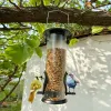 Alimentación L40 Alimentador de aves automático Tazón de comida al aire libre decoración de jardín vintage