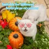 Ospita occhiali da sole per cani gatti divertenti occhiali da sole rotondi gatto classico con occhiali da sole retrò con patologie da pet cingh antipasto.