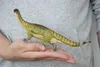 ألعاب أخرى PNSO 81 Lufengosaurus Yiran نموذج Plateau Dragon Dragon Dragon Dragon Dragon Dragon Prehistoric Gift Scientific Restoration Statuel240502