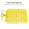 Accessoires multifonction 24 Oeufs Incubateur Turn Turn Tray Poultry Incubation MinI Crooder Incubator Pièces de rechange Accessoire