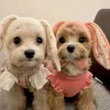 Hondenkleding ins schattig konijn oren huisdierbreien herfst en winter warme kat puppy bichon teddy head cover accessoires koude hoeden h240506