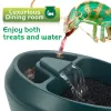 Supplies Reptile Chameleon Cantina avec des collations creux, Boire de l'eau de la fontaine pour les amphibiens Insectes Lizard Us