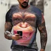 メンズTシャツ面白いメンズTシャツモンキー3Dプリントファッショントップス短いスルベカジュアルサマーTシャツMAN O-NECKルーズ特大服T240505