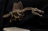 Andere Spielzeuge 1/20 Spinosaurus Skelettmodell Dinosaurier Tier Atlas Spinosaurus Bildung GK Dekorative Geschenkspielzeug Paintingl240502