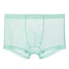 Underpants Mesh Briefs Wear Resistant Friendly To Skin Polyester Quick Dry Men Boxers Gift Inside Wearing