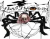 75 cm realistisk svart spindel plysch leksak halloween party ion hemsökt hus hem prop inomhus utomhusgigantdekor9280784